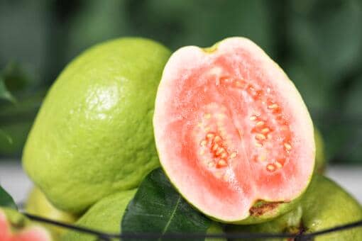 番石榴价格多少钱一斤