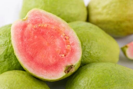 番石榴北方能种吗