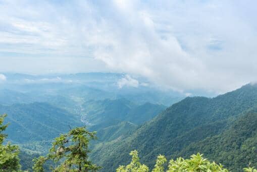 �׸Ǽ��;��ܳ���