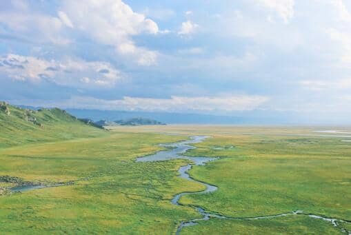 ����Ҫ������