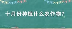ʮ·ֲʲôũ