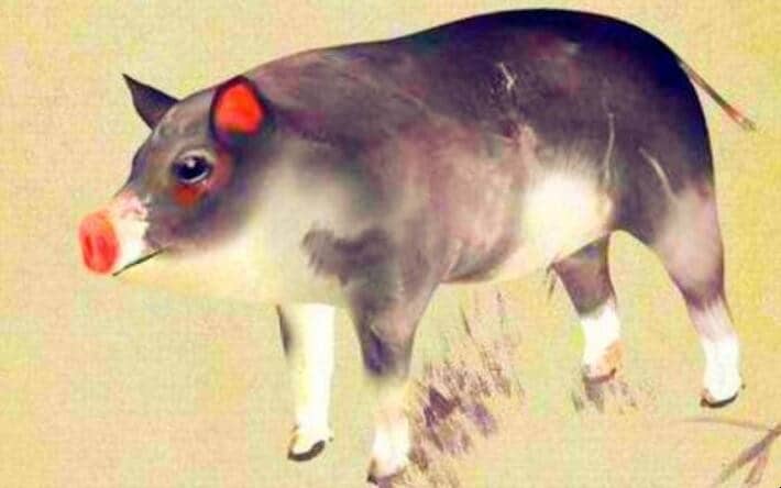 ȻһФ