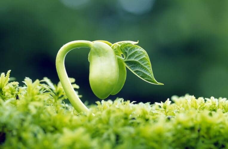 ʵ�ֵĽ��������Щ