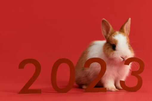 Ԫ���ż�ʱ���2023