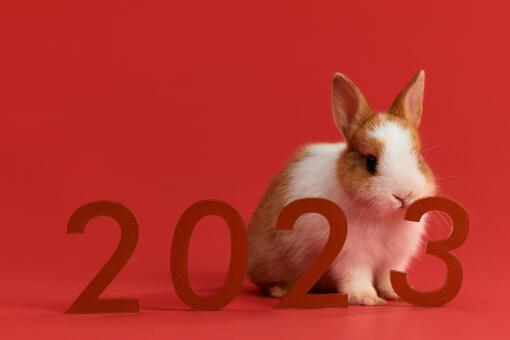 2023귨ڼһ