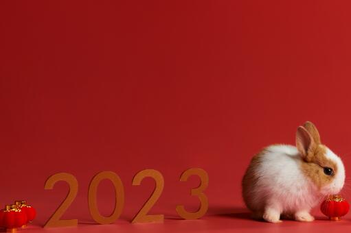 2023