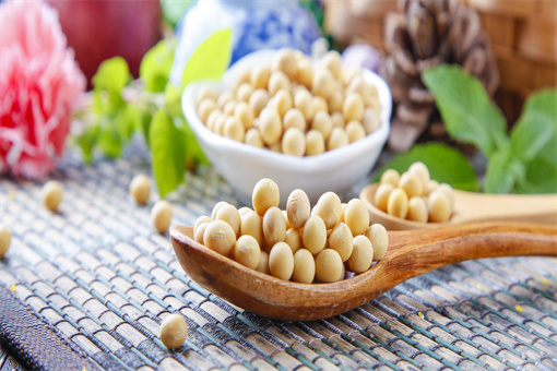 大豆
