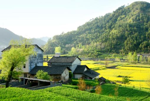 中央一号文件藏着哪些关键词