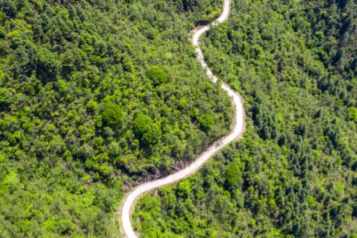 中央一号文件什么时候开始发布的