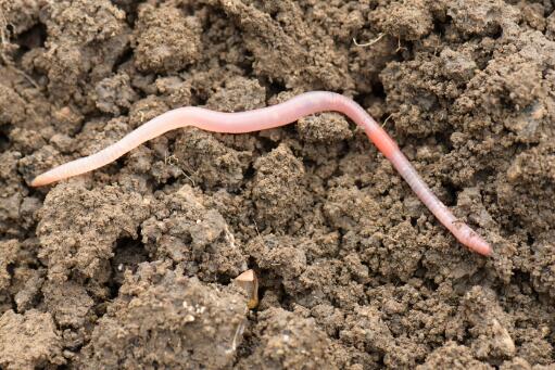 ����һ���ļ�������Ϊ�������Ҫ