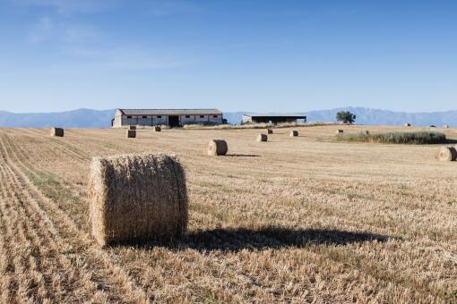 怎么看农民宁愿罚款也要烧秸秆