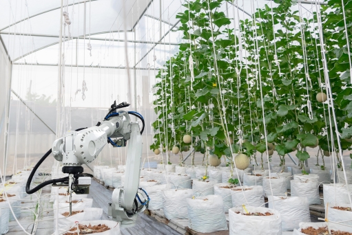 代表:加大对特色农业扶持力度