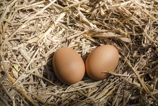 春分立蛋是什么原理