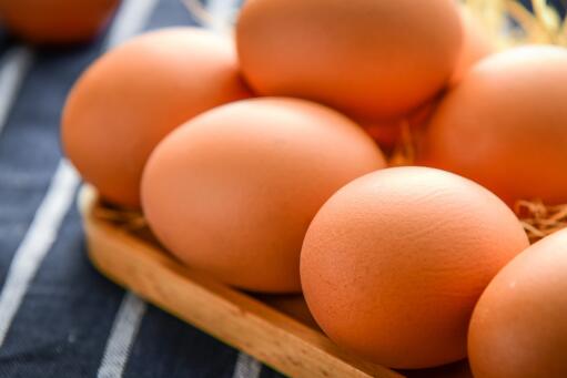 听说春分立鸡蛋成功率高