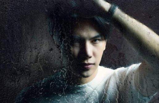 ̩PetrichorTheSeriesʲôʱ򲥣˭